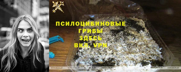 эйфоретик Аркадак