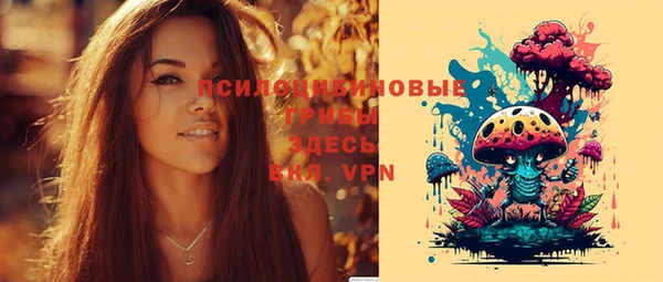эйфоретик Аркадак